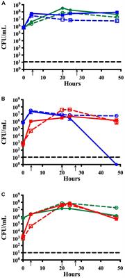 Moraxella catarrhalis Promotes Stable Polymicrobial Biofilms With the Major Otopathogens